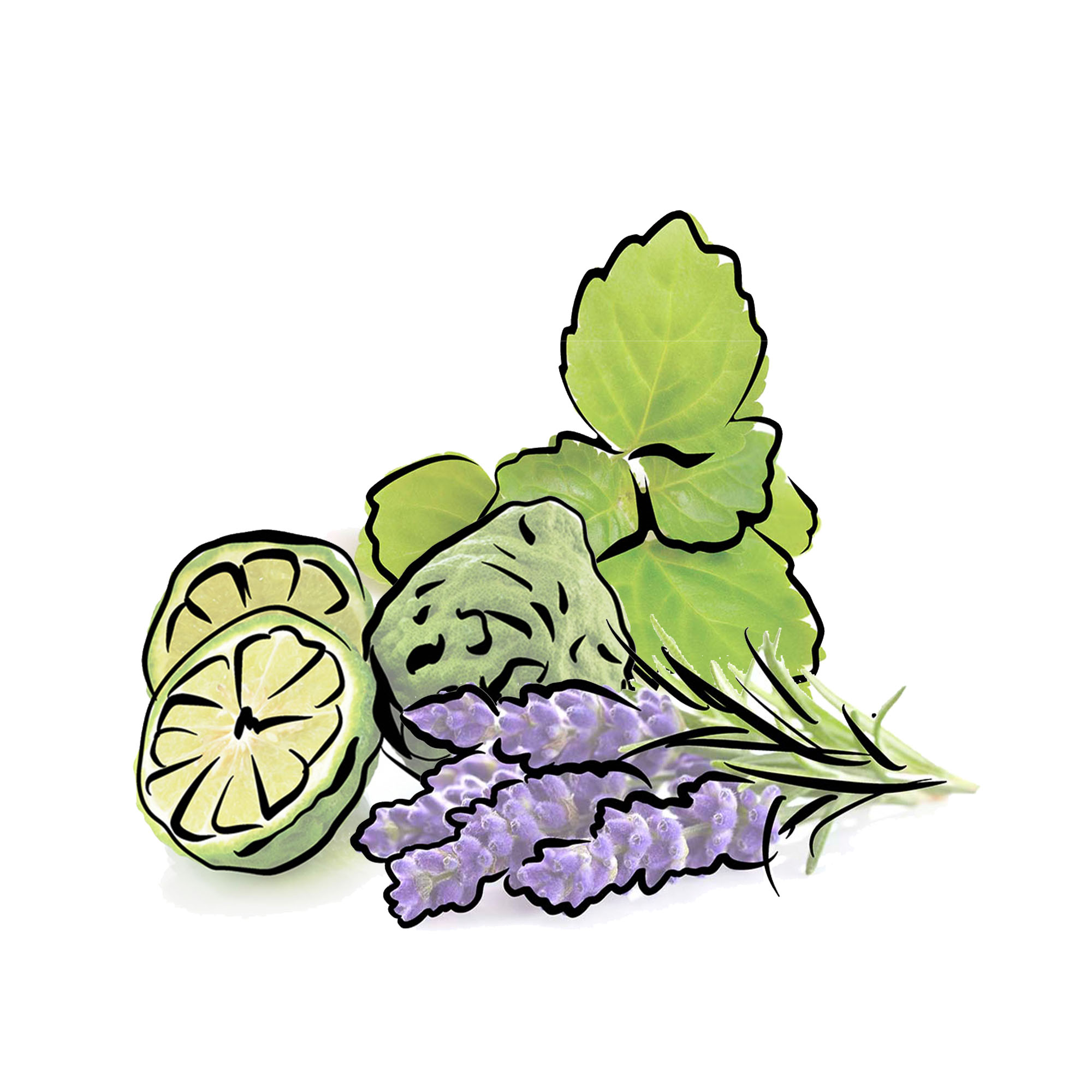 Rochas Moustache Eau De Toilette Spray 75 ml for Men | Beautyandko